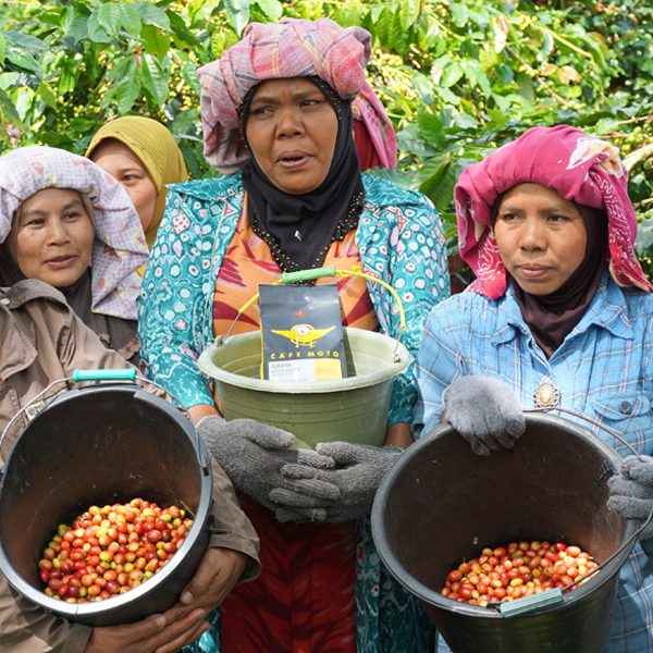 Sumatra Ketiara Women Led Cooperative