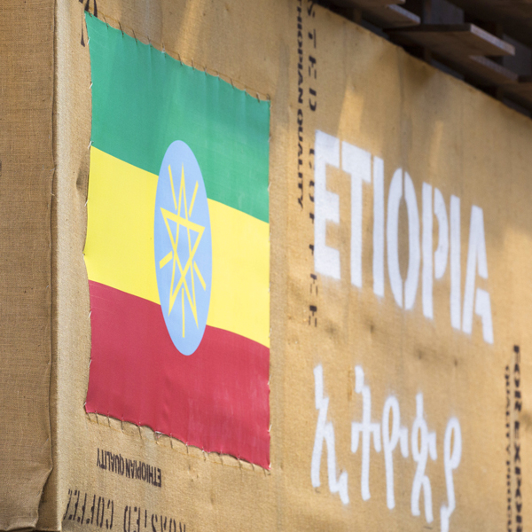 Ethiopian Yrgacheffe Homacho Waeno Cooperative